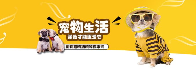 Ethereum钱包安卓版